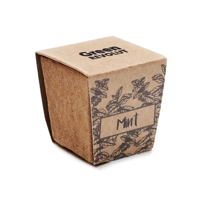 Pflanz-Set Minze – Ansicht 5