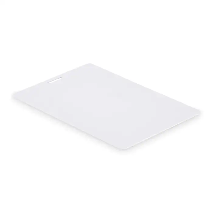 Lanyard-Ausweis 120 x 80 mm – Ansicht 2