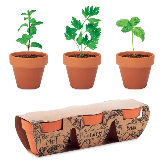 Terracotta-Set Kräuter – Werbeartikel mit Logo bedrucken