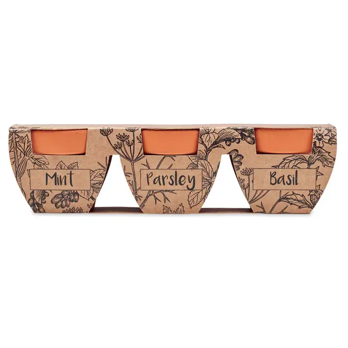 Terracotta-Set Kräuter – Ansicht 2