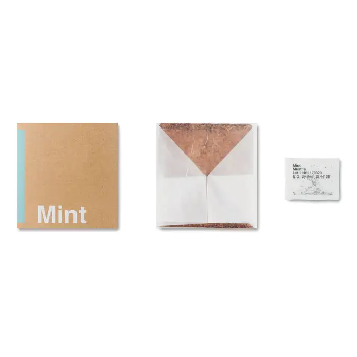 Pflanz-Set "Minze" – Ansicht 2