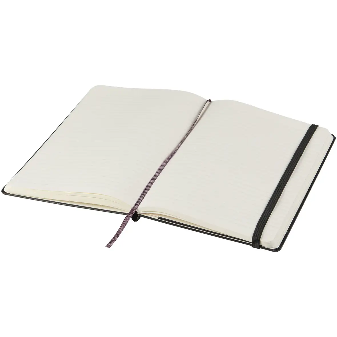Moleskine Classic Hardcover Notizbuch L – liniert – Ansicht 4