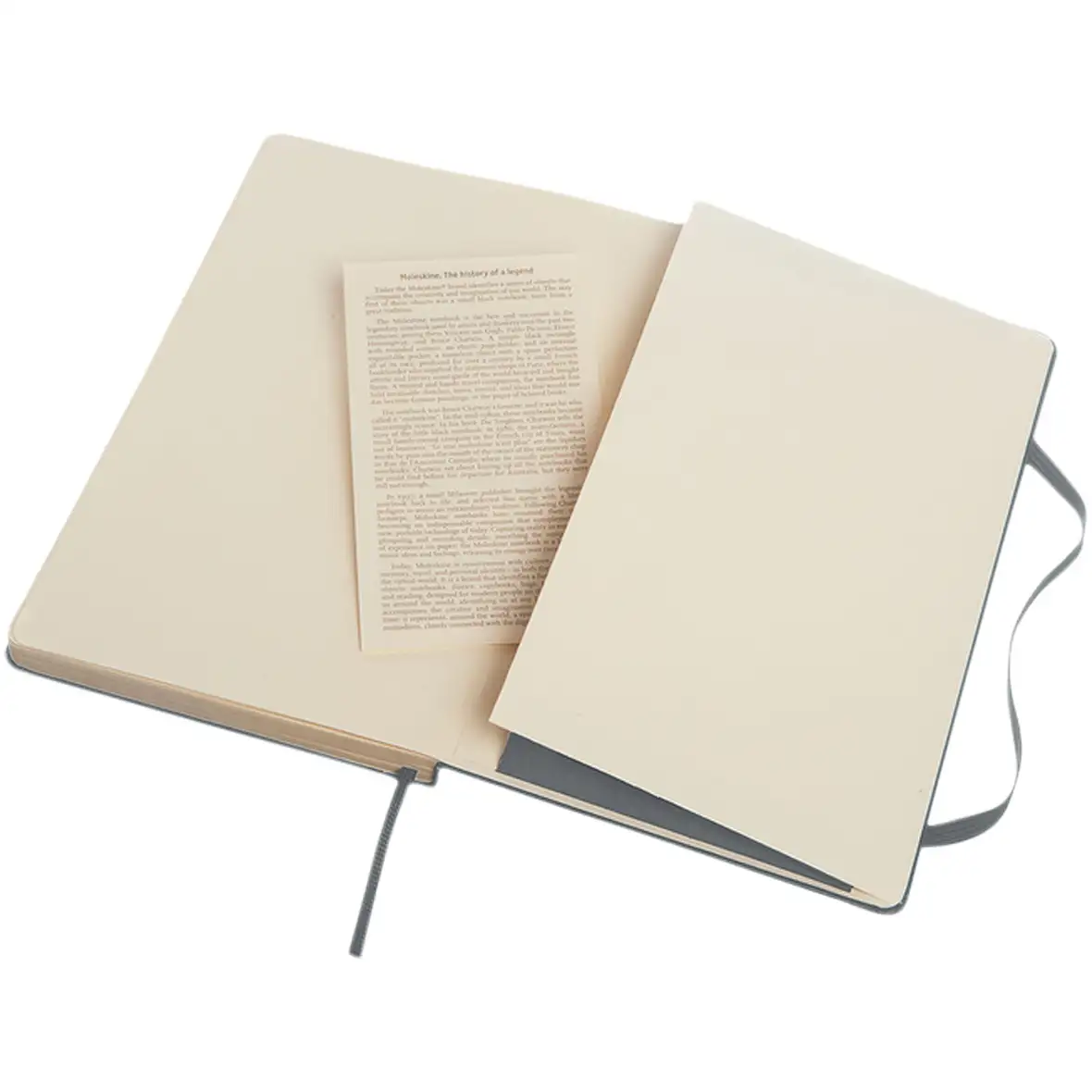 Moleskine Classic Hardcover Notizbuch L – liniert – Ansicht 16