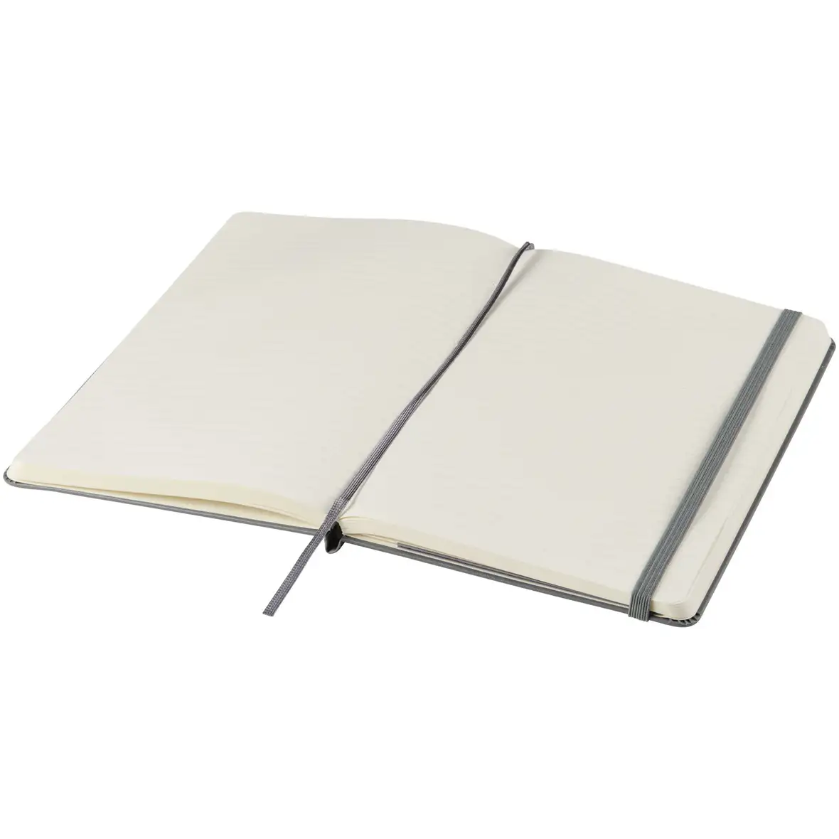 Moleskine Classic Hardcover Notizbuch L – liniert – Ansicht 18