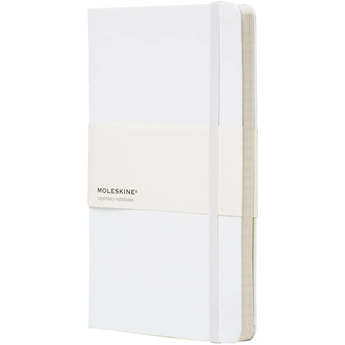 Moleskine Classic Hardcover Notizbuch L – liniert – Ansicht 20