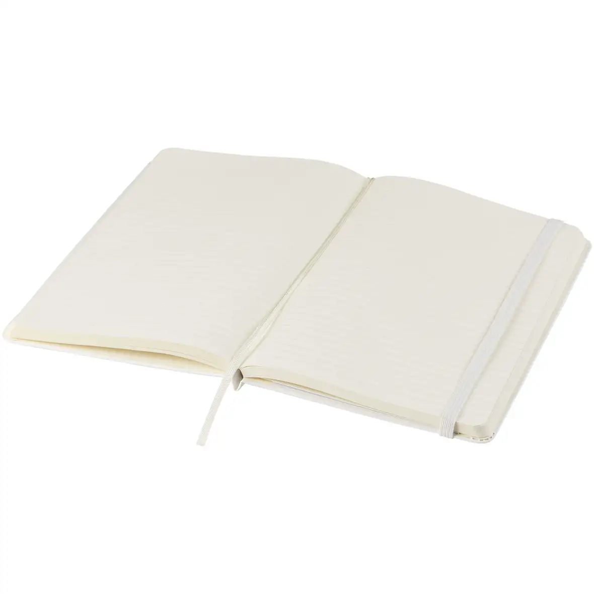 Moleskine Classic Hardcover Notizbuch L – liniert – Ansicht 24
