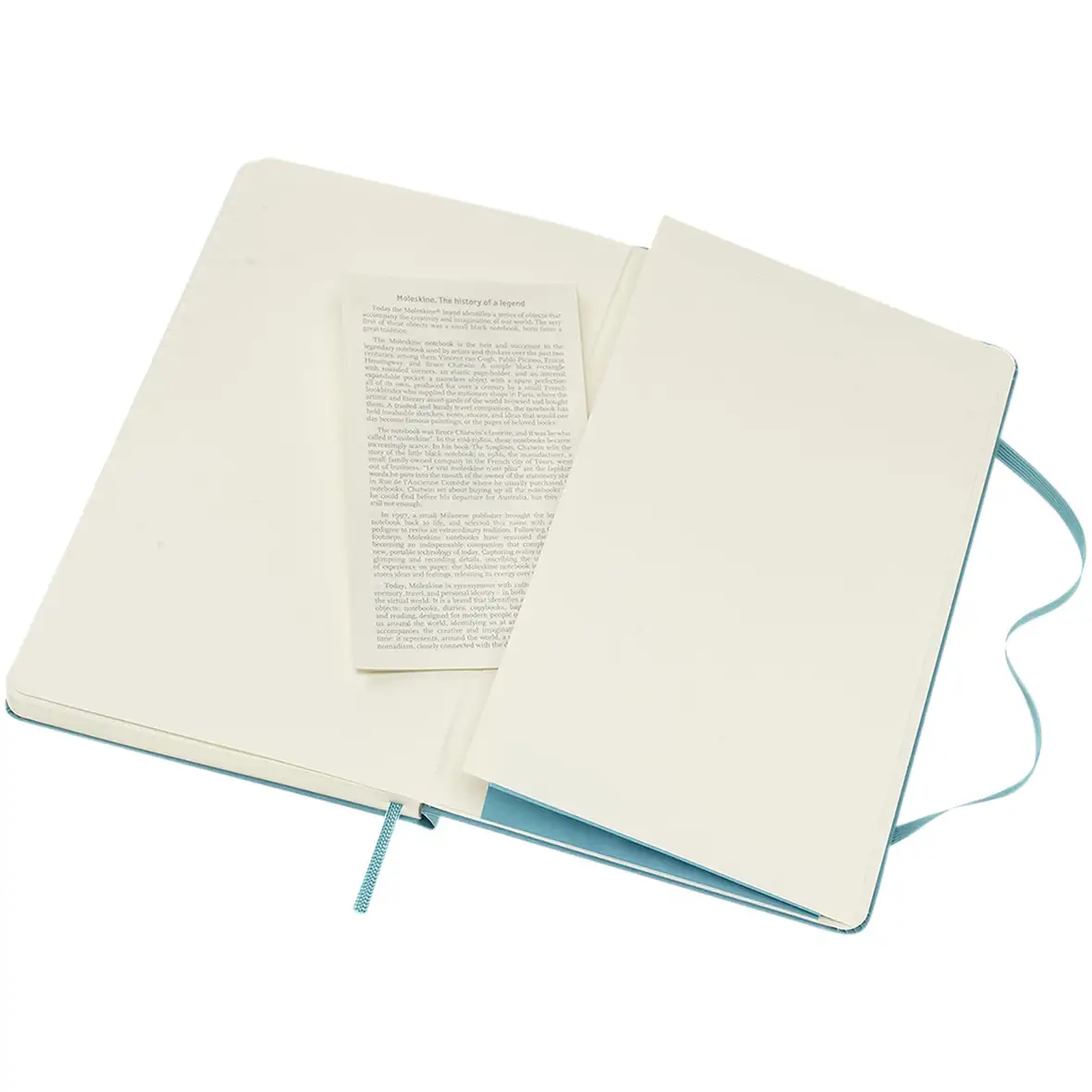 Moleskine Classic Hardcover Notizbuch L – liniert – Ansicht 37