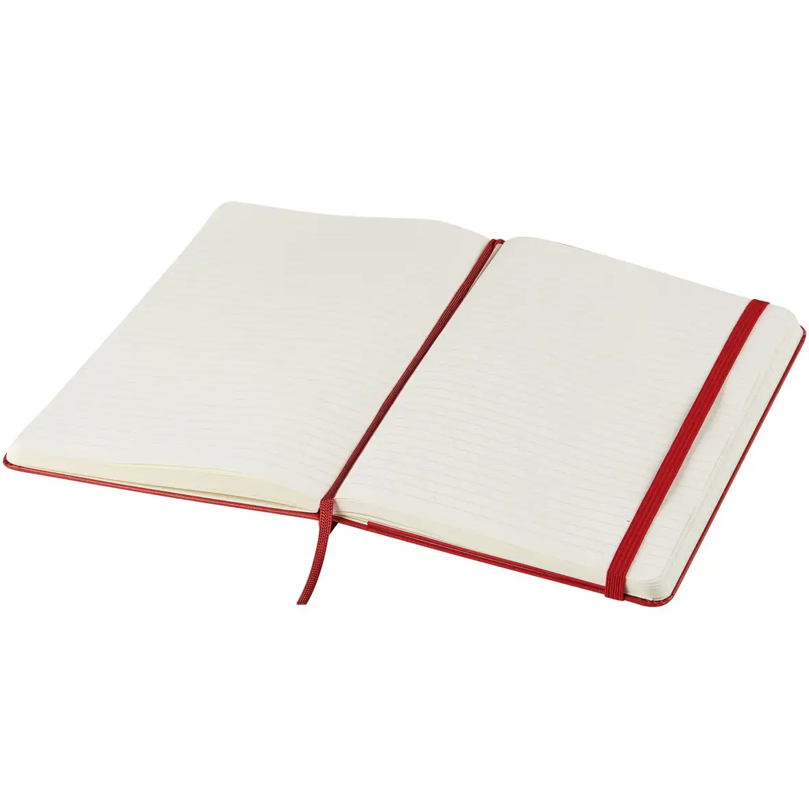 Moleskine Classic Hardcover Notizbuch L – liniert – Ansicht 44