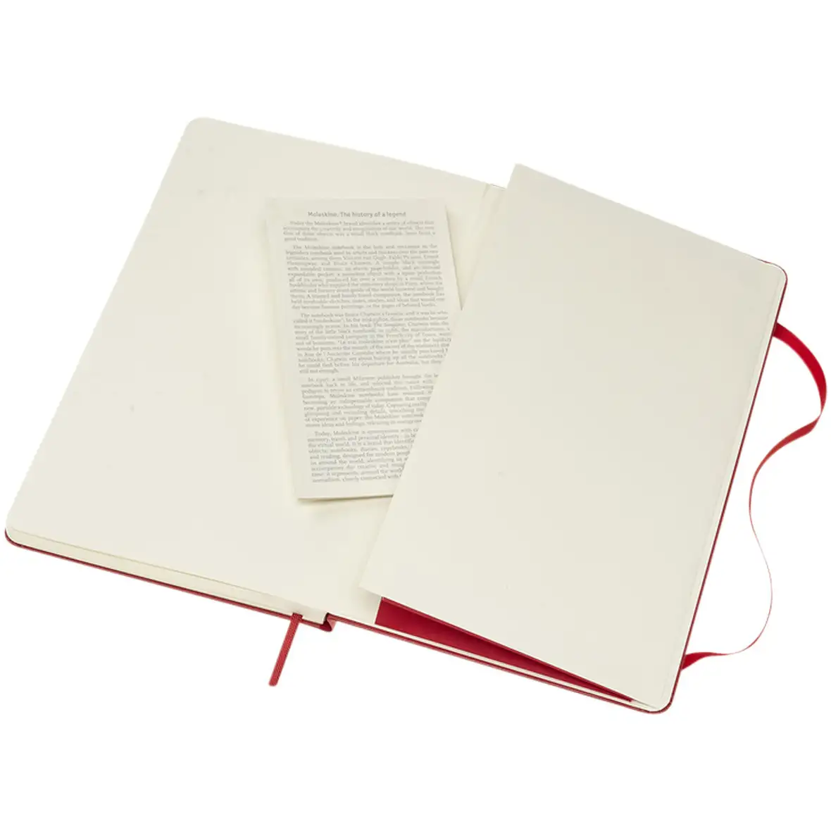Moleskine Classic Hardcover Notizbuch L – liniert – Ansicht 45