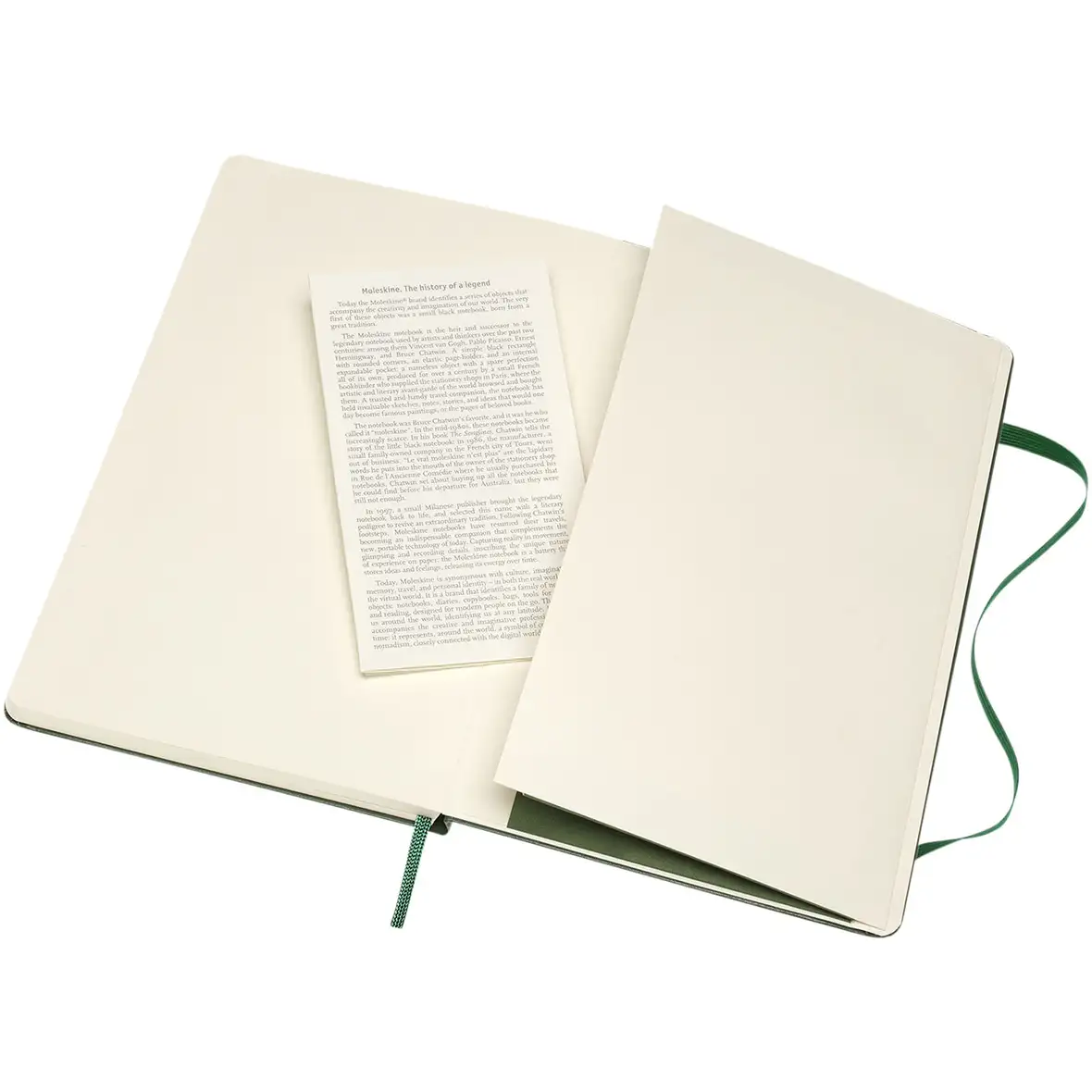 Moleskine Classic Hardcover Notizbuch L – liniert – Ansicht 51