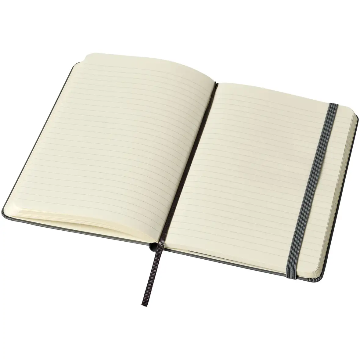 Moleskine Classic Hardcover Notizbuch M – liniert – Ansicht 19