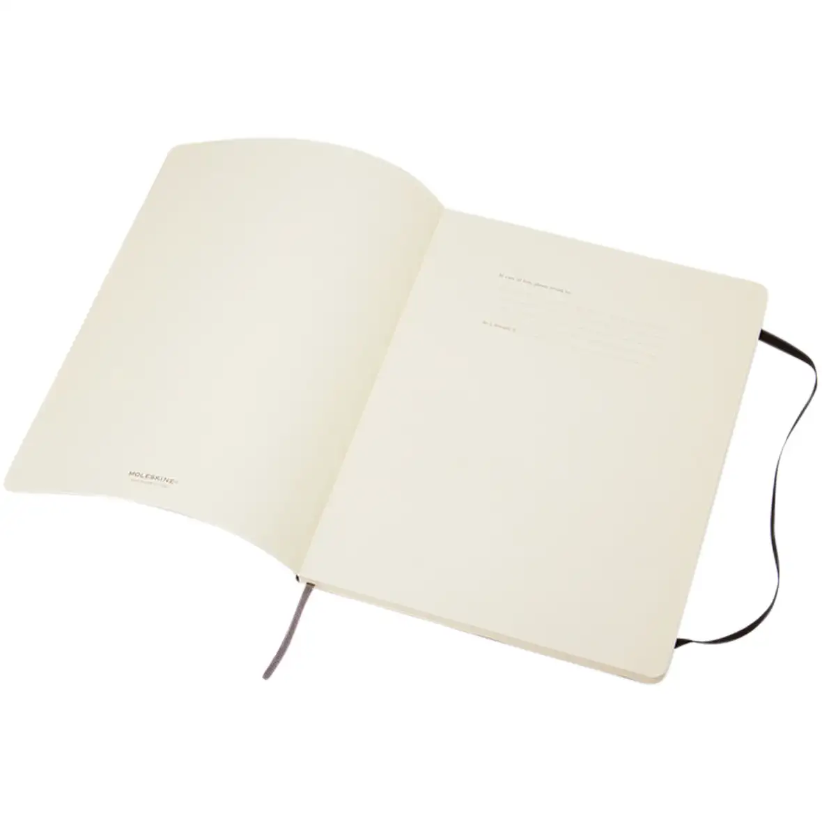 Moleskine Classic Softcover Notizbuch XL – liniert – Ansicht 5