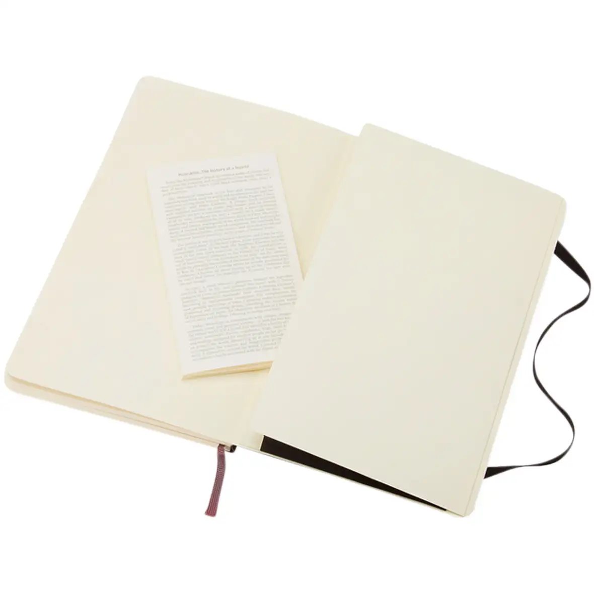Moleskine Classic Softcover Notizbuch L – liniert – Ansicht 5