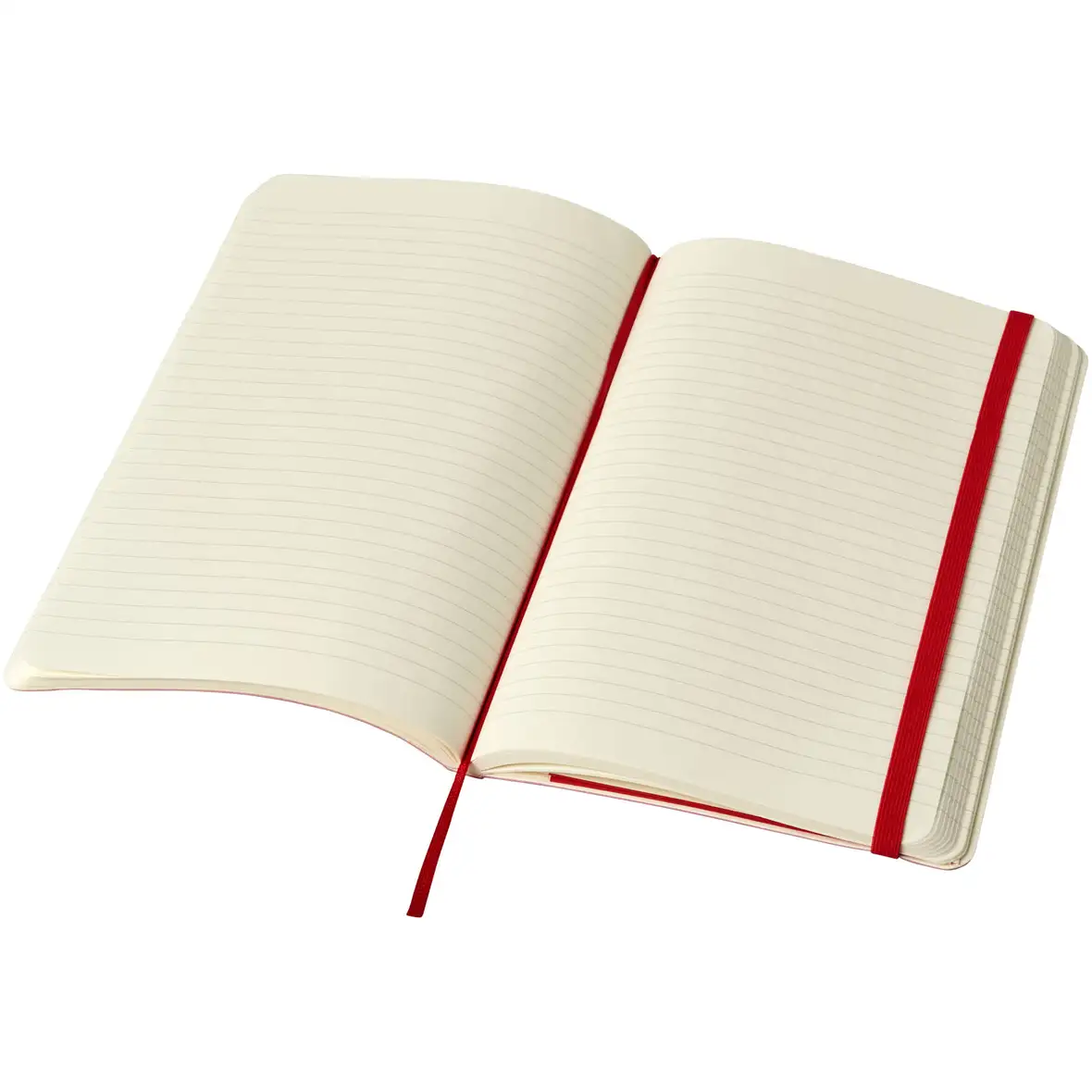 Moleskine Classic Softcover Notizbuch L – liniert – Ansicht 16