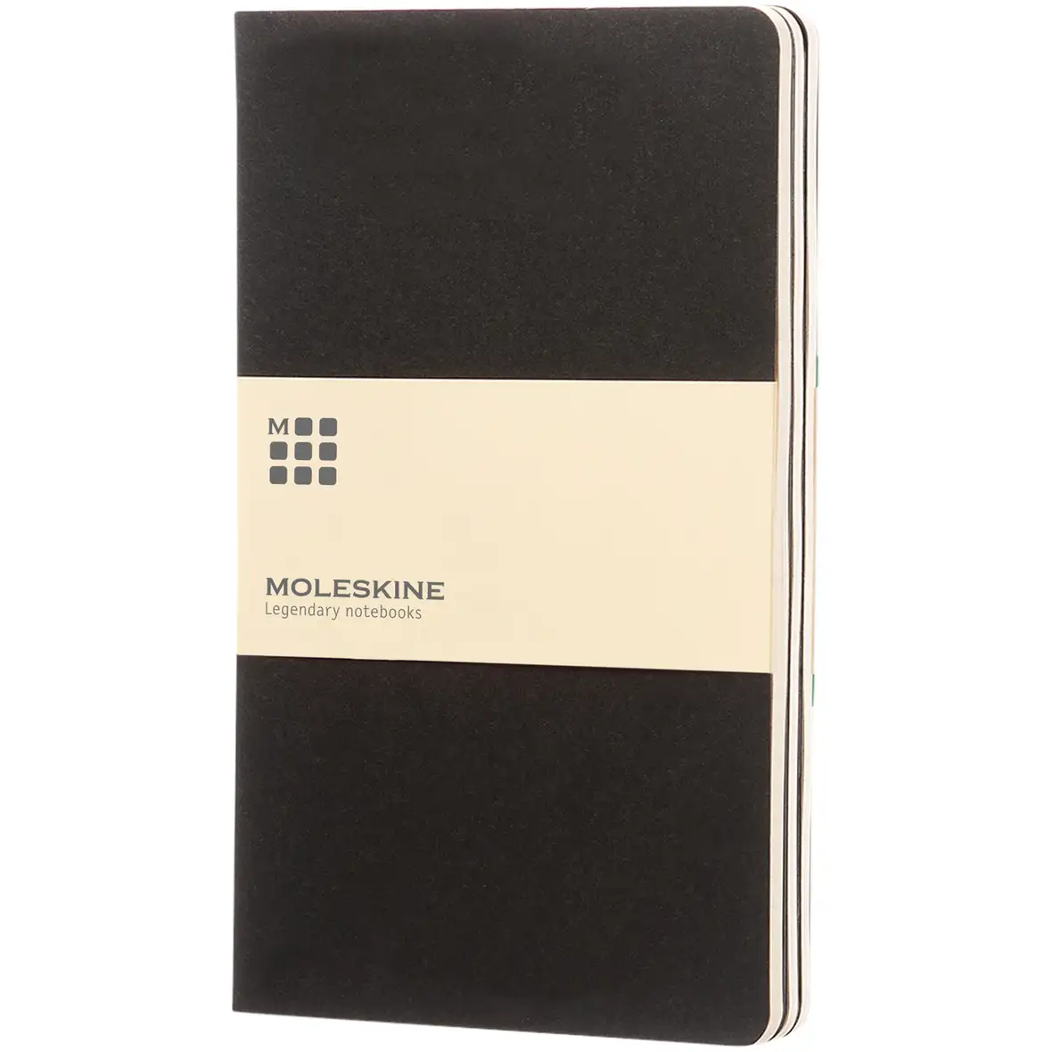 Moleskine Cahier Journal L – liniert – Ansicht 1