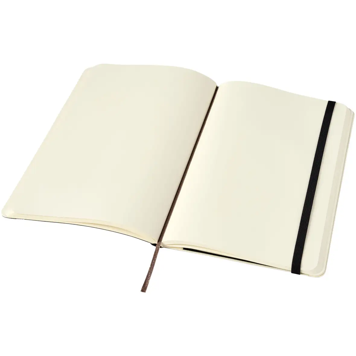 Moleskine Classic Softcover Notizbuch L – blanko – Ansicht 4