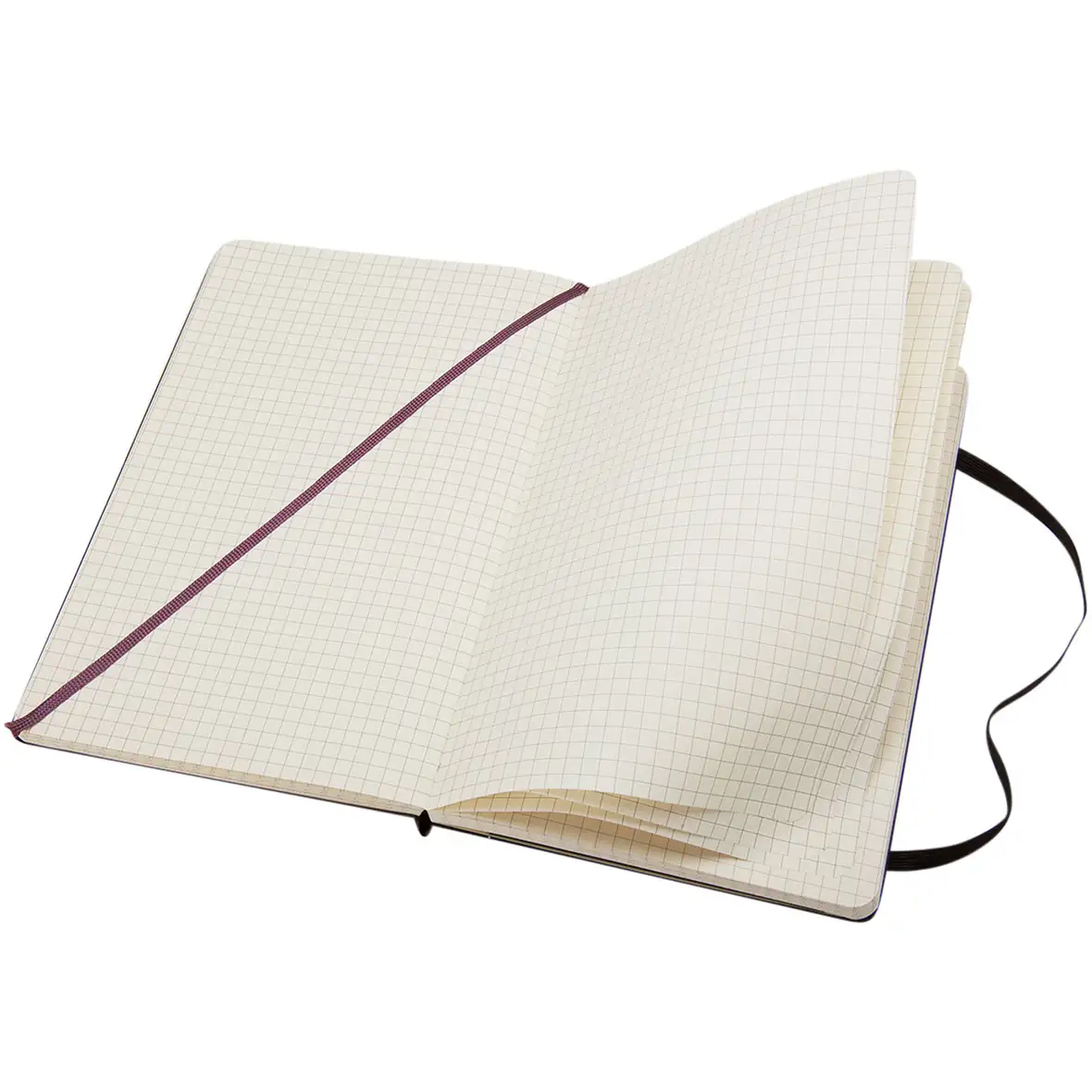 Moleskine Classic Hardcover Notizbuch L – kariert – Ansicht 4