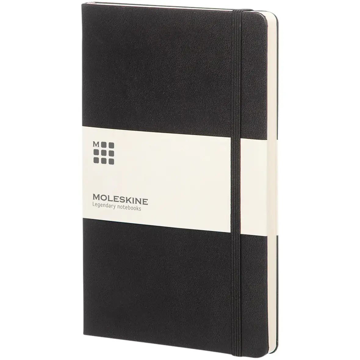 Moleskine Classic Hardcover Notizbuch L – gepunktet – Ansicht 1