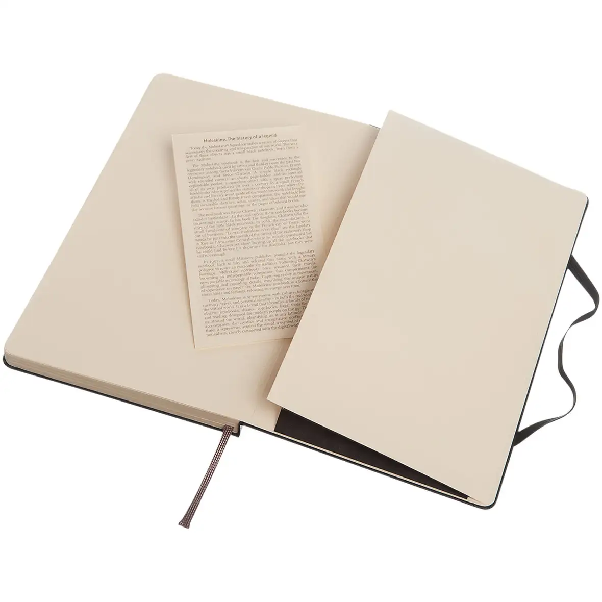 Moleskine Classic Hardcover Notizbuch L – gepunktet – Ansicht 5