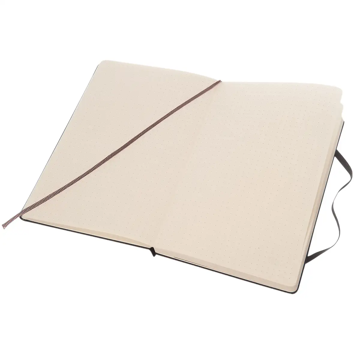 Moleskine Classic Hardcover Notizbuch L – gepunktet – Ansicht 6