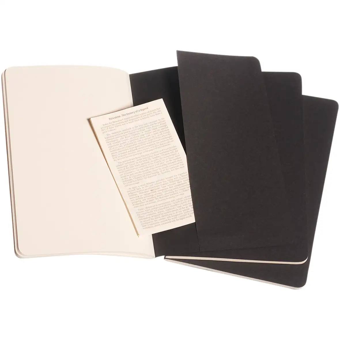 Moleskine Cahier Journal L – blanko – Ansicht 4